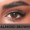 Bella Almnd Brown - Oneday Collection